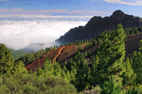 View from Mirador de la Cumbre, Parque Nacional del Teide, Tenerife, Canary Islands, 2007.