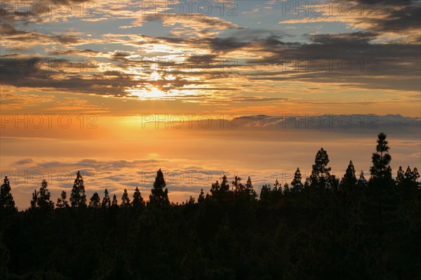 Parque Nacional del Teide, Tenerife, Canary Islands, 2007.