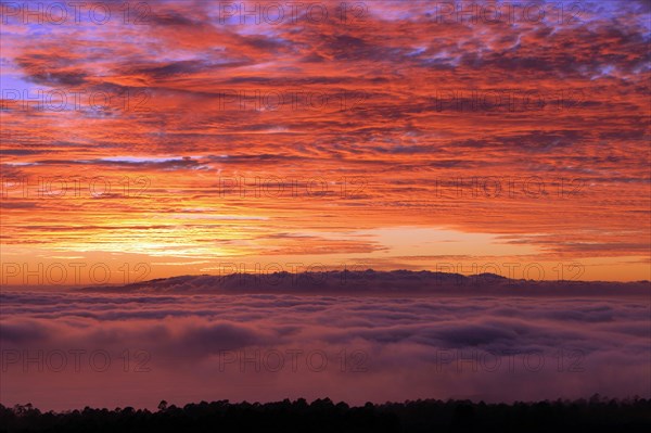 Sunset, Parque Nacional del Teide, Tenerife, Canary Islands, 2007.