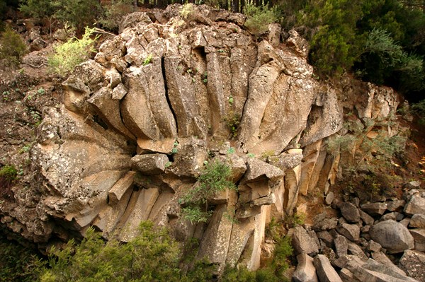 Rosa de Piedra (stone rose), rock formation, Tenerife, Canary Islands, 2007.