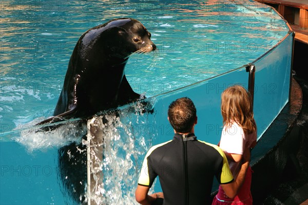 Sea lion show, Loro Parque, Tenerife, Canary Islands, 2007.