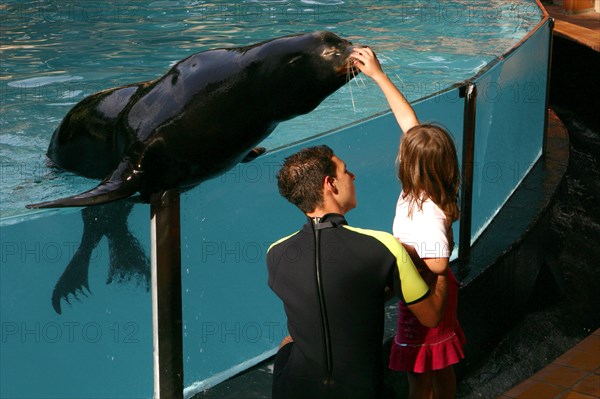 Girl petting a sea lion Loro Parque, Tenerife, Canary Islands, 2007.