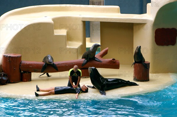 Sea lion show, Loro Parque, Tenerife, Canary Islands, 2007.