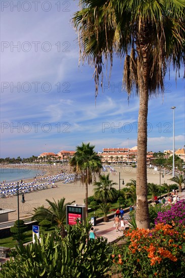 Playa de las Vistas, Los Cristianos, Tenerife, Canary Islands, 2007.