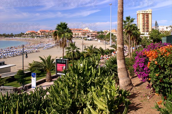 Playa de las Vistas, Los Cristianos, Tenerife, Canary Islands, 2007.