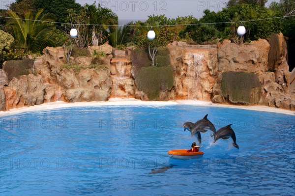 Dolphin show, Loro Parque, Tenerife, Canary Islands, 2007.