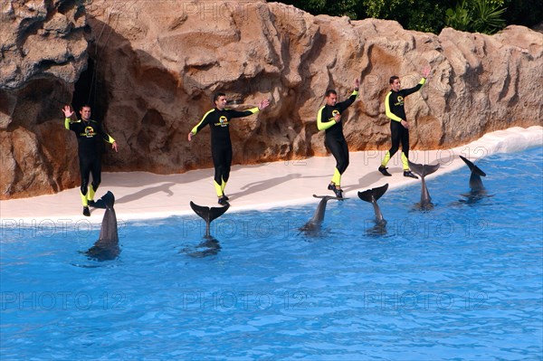 Dolphin show, Loro Parque, Tenerife, Canary Islands, 2007.