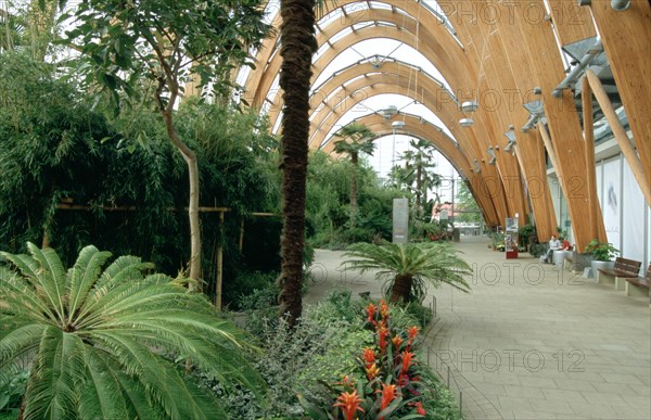 Winter Gardens, Sheffield, South Yorkshire.