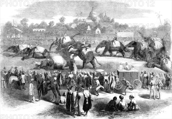 Elephant steeplechase at Rangoon, Burma, 19th century(?). Artist: Unknown