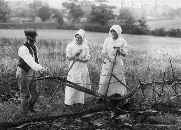 Ploughman, late 19th or early 20th century. Artist: Unknown