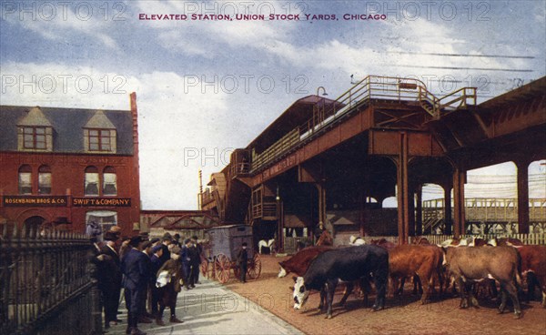 Elevated station, Union Stock Yards, Chicago, Illinois, USA, 1910. Artist: Unknown