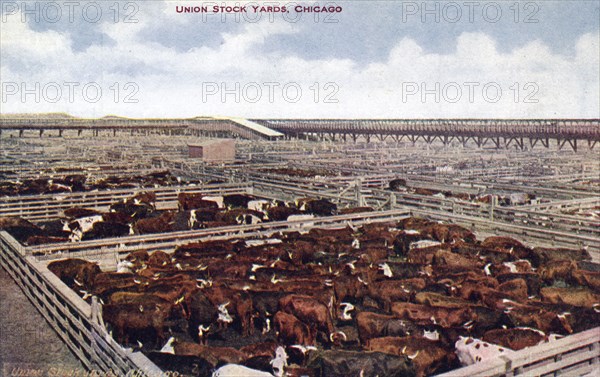 Union Stock Yards, Chicago, Illinois, USA, 1910. Artist: Unknown