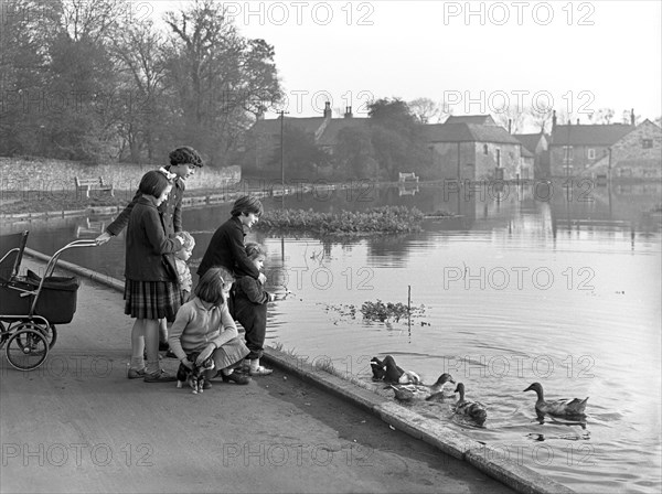 Village duck pond scene, Tickhill, Doncaster, South Yorkshire, 1961. Artist: Michael Walters