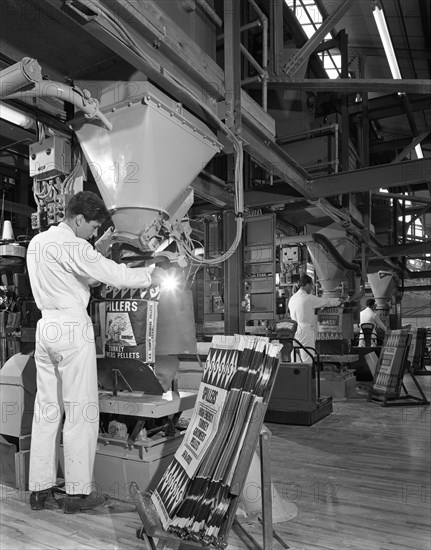 Bags being filled at the Spillers Animal Foods plant, Gainsborough, Lincolnshire, 1962. Artist: Michael Walters