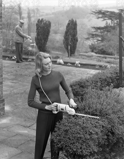 Woman using Stanley electric garden shears, 1965. Artist: Michael Walters