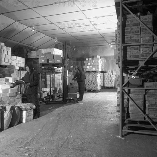 Workers in a cold store at Modern Foods, Mexborough, South Yorkshire, 1973. Artist: Michael Walters