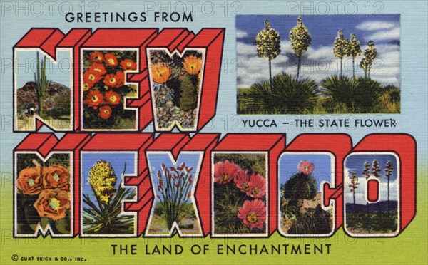 'Greetings from New Mexico, the Land of Enchantment', postcard, 1959. Artist: Unknown