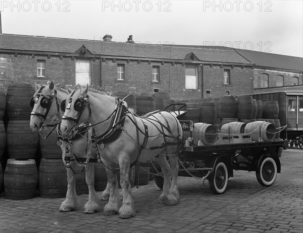 Tetley shire horses and dray, Joshua Tetley Brewery, Leeds, West Yorkshire, 1966. Artist: Michael Walters