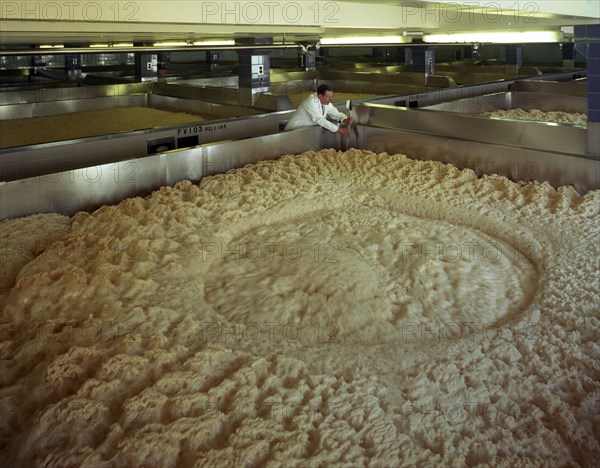 Fermenting vessels at Tetley's brewery, Leeds, West Yorkshire, 1968.  Artist: Michael Walters