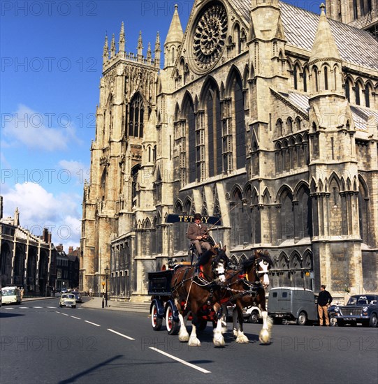 Tetley shire horses outside York Minster, North Yorkshire, 1969. Artist: Michael Walters