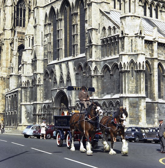 Tetley shire horses outside York Minster, North Yorkshire, 1969. Artist: Michael Walters