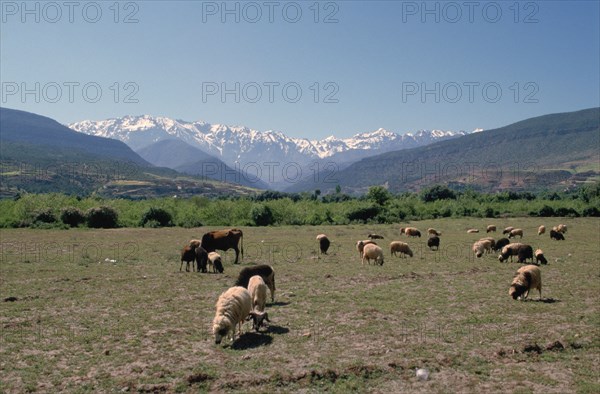 High Atlas, Morocco.