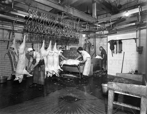 Butchery factory, Rawmarsh, South Yorkshire, 1955.  Artist: Michael Walters