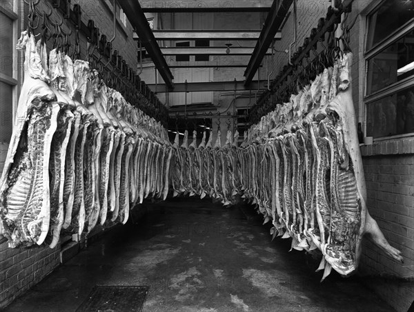 Interior of a butchery factory, Rawmarsh, South Yorkshire, 1955. Artist: Michael Walters