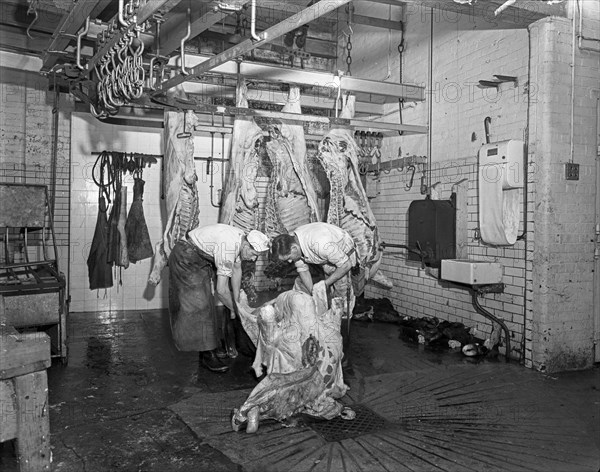 Butchery factory, Rawmarsh, South Yorkshire, 1955.  Artist: Michael Walters