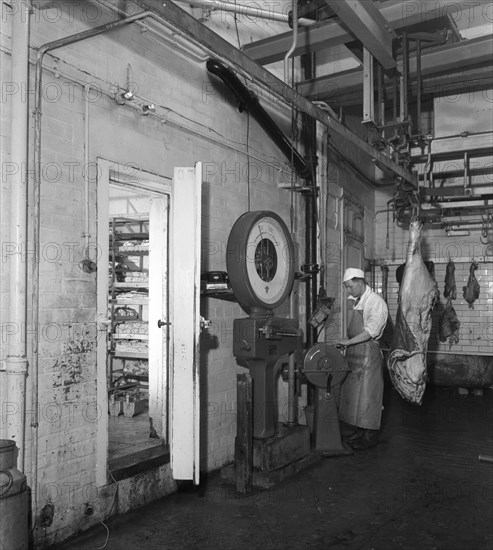 Schonhut's butchery factory, Rawmarsh, South Yorkshire, 1955. Artist: Michael Walters