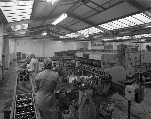 The final process of bottling beer, Ward & Sons bottling plant, Swinton, South Yorkshire, 1960. Artist: Michael Walters