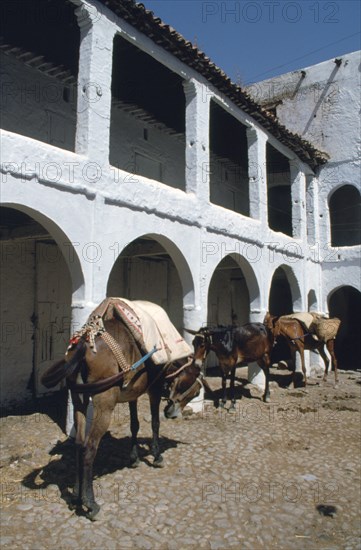 Fondouk, Chefchaouen, Morocco.