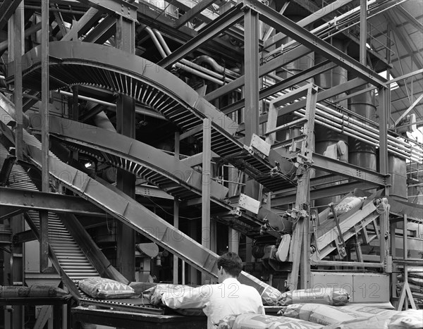 Complex conveyor delivery, Spillers Animal Foods, Gainsborough, Lincolnshire, 1962. Artist: Michael Walters