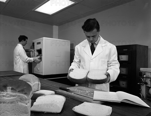 The test bakery at Spillers Foods, Gainsborough, Lincolnshire 1962. Artist: Michael Walters