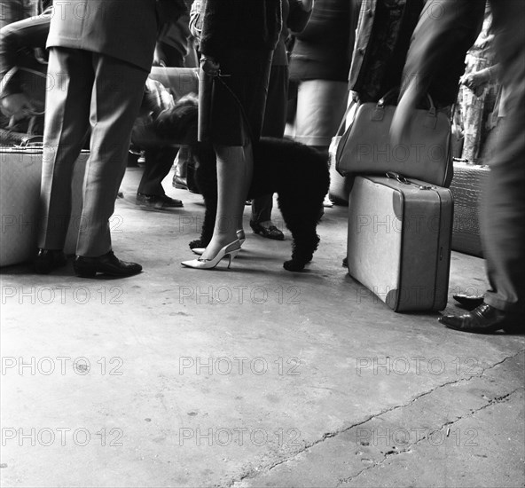 Dutch legs, Amsterdam, Netherlands, 1963. Artist: Michael Walters