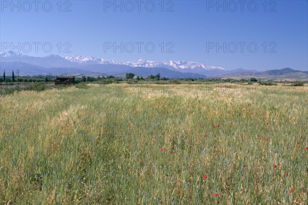 High Atlas Mountains from near Marakesh, Morocco.