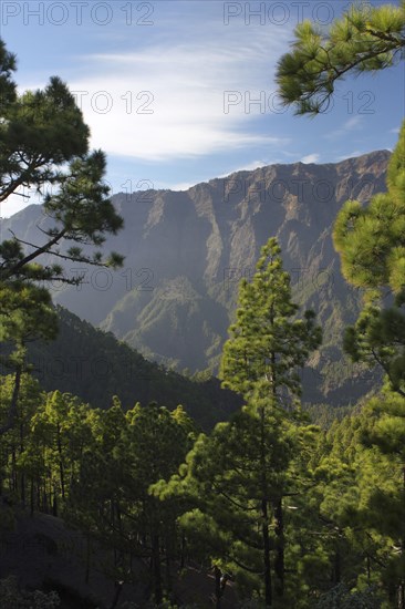 Parque Nacional de la Caldera de Taburiente, La Palma, Canary Islands, Spain, 2009.