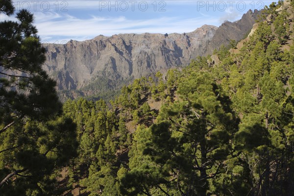 Parque Nacional de la Caldera de Taburiente, La Palma, Canary Islands, Spain, 2009.