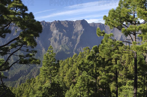 Parque Nacional de la Caldera de Taburiente, La Palma, Canary Islands, Spain, 2009.