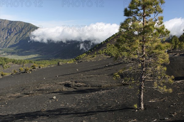 Llano del Jable, La Palma, Canary Islands, Spain, 2009.