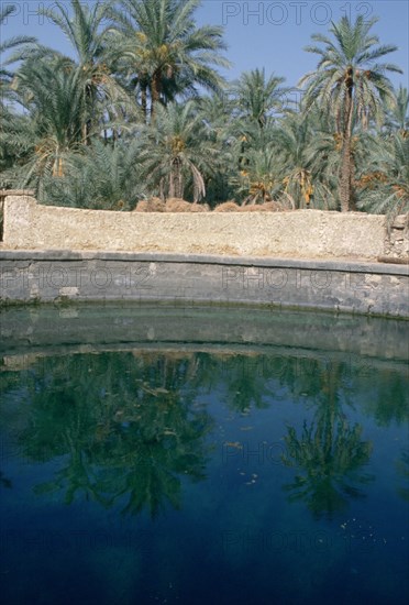Cleopatra's Pool, Siwa, Egypt.