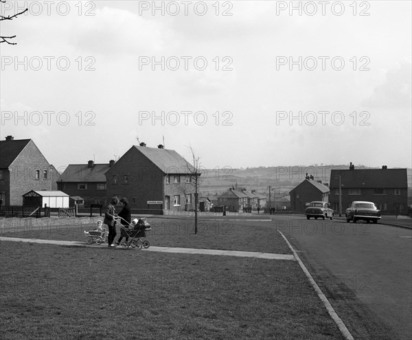 Chestnut Grove, Conisborough, South Yorkshire, 1964.  Artist: Michael Walters