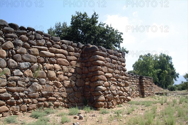 The walls of Tel Dan, Israel. Artist: Samuel Magal