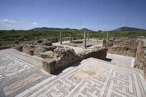 The House of Neptune, Thuburbo Majus, Tunisia. Artist: Samuel Magal