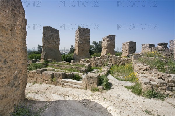 Byrsa Hill, Carthage, Tunisia. Artist: Samuel Magal