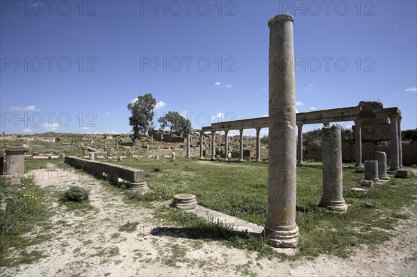 The Palaestra of Petronii, Thuburbo Majus, Tunisia. Artist: Samuel Magal