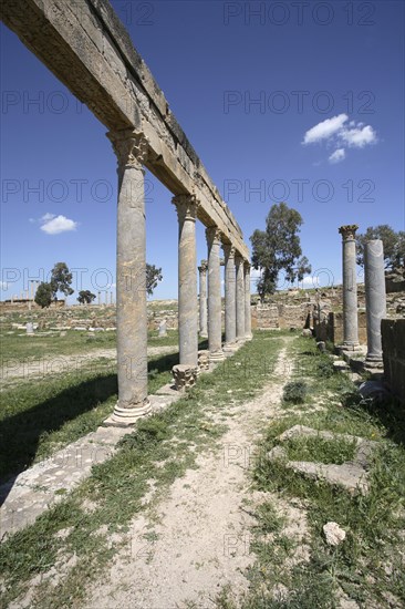 The Palaestra of Petronii, Thuburbo Majus, Tunisia. Artist: Samuel Magal