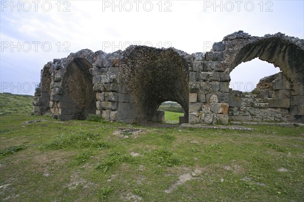 The theatre at Chemtou, Tunisia. Artist: Samuel Magal