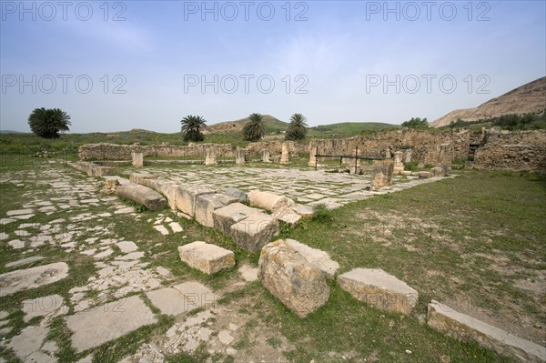 The forum at Bulla Regia, Tunisia. Artist: Samuel Magal