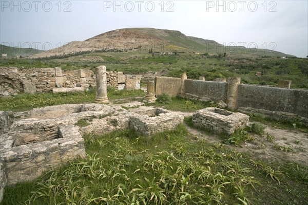 The House of the Fishing Scene at Bulla Regia, Tunisia. Artist: Samuel Magal